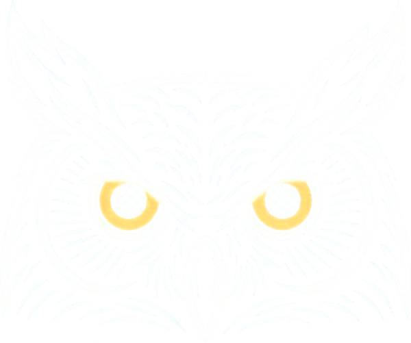 Owl logo